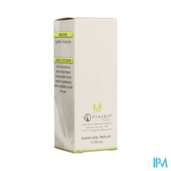 Bach Flower Impatiens 30ml Dynar