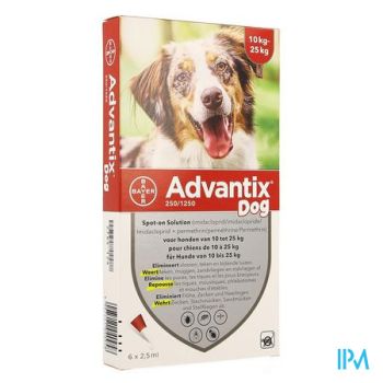 Advantix 250/1250 Honden 10<25kg Fl 6x2,5ml
