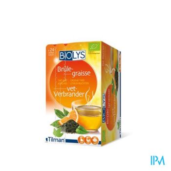Biolys Groene Thee Citroenvruchten Sach 24