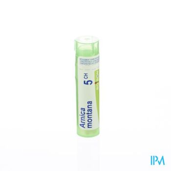 Arnica Montana 5ch Gr 4g Boiron