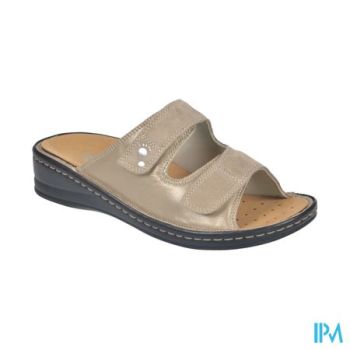 Podartis Alipes Schoen Dame Beige