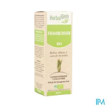 Herbalgem Frambozen Maceraat