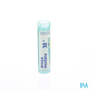 Arnica Montana 30k Gr 4g Boiron