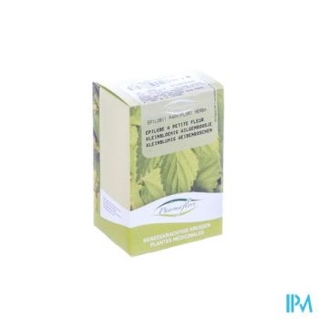 Wilgenroosje Parviflorum Fag