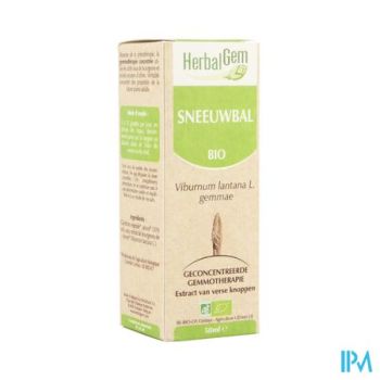 Herbalgem Wollige Sneeuwbal Maceraat