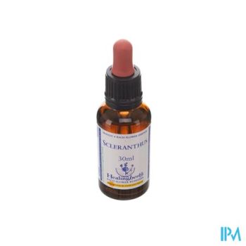 Healing Herbs Scleranthus