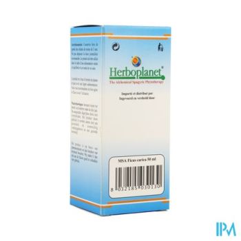Herboplanet Ficus Carica Msa Maceraat Druppels50ml