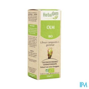 Herbalgem Olm Maceraat