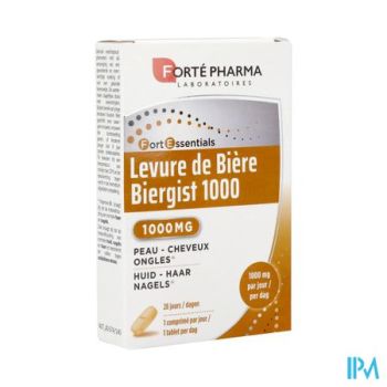Biergist Comp