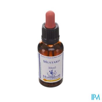 Healing Herbs Mustard