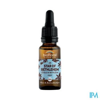 Biofloral Bachbloesem 29 Star Bethlehem Bio 20ml