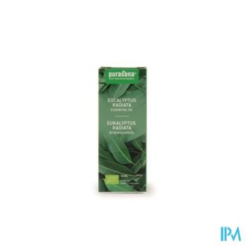 Purasana Essentielle Olie Eucalyptus Radiata 10ml