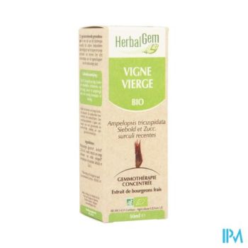 Herbalgem Wilde Wingerd Maceraat