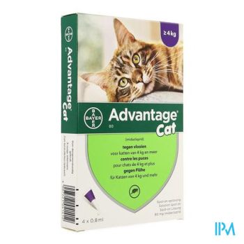 Advantage 80 Katten >4kg 4x0,8ml