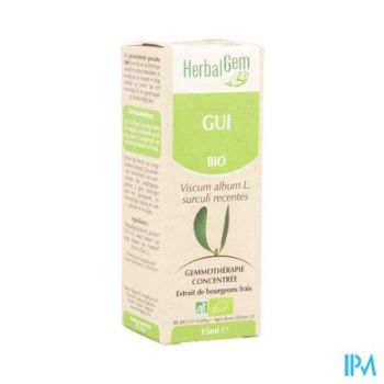 Herbalgem Maretak Maceraat