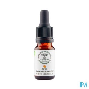Bach Elexir Paardenkastanje 10ml F832