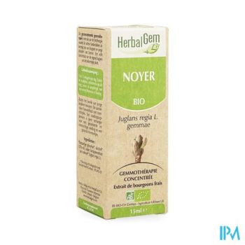 Herbalgem Walnoot Maceraat